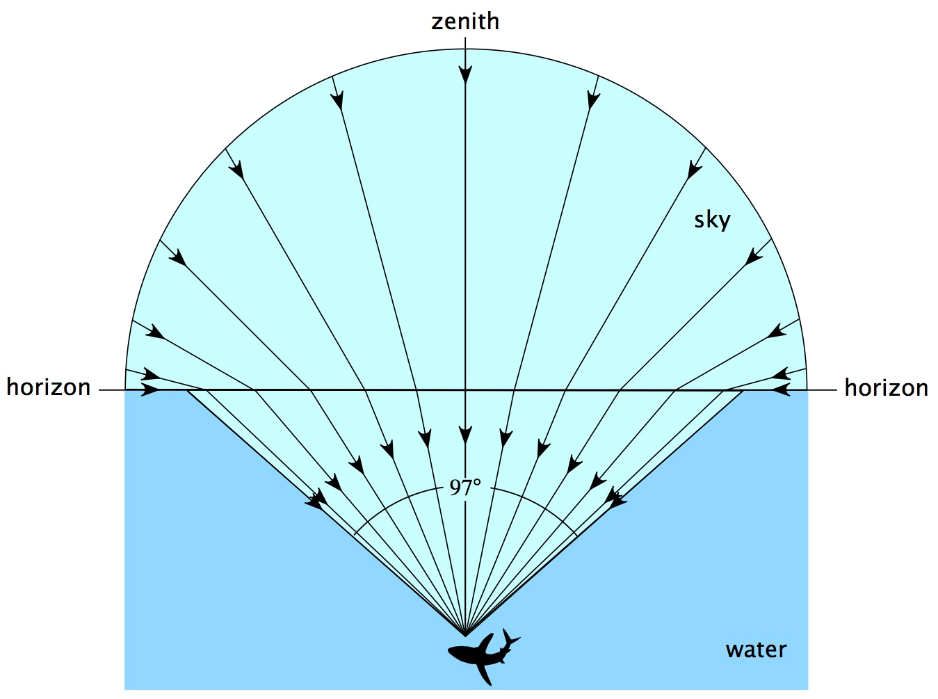 Diving Into Climate Change