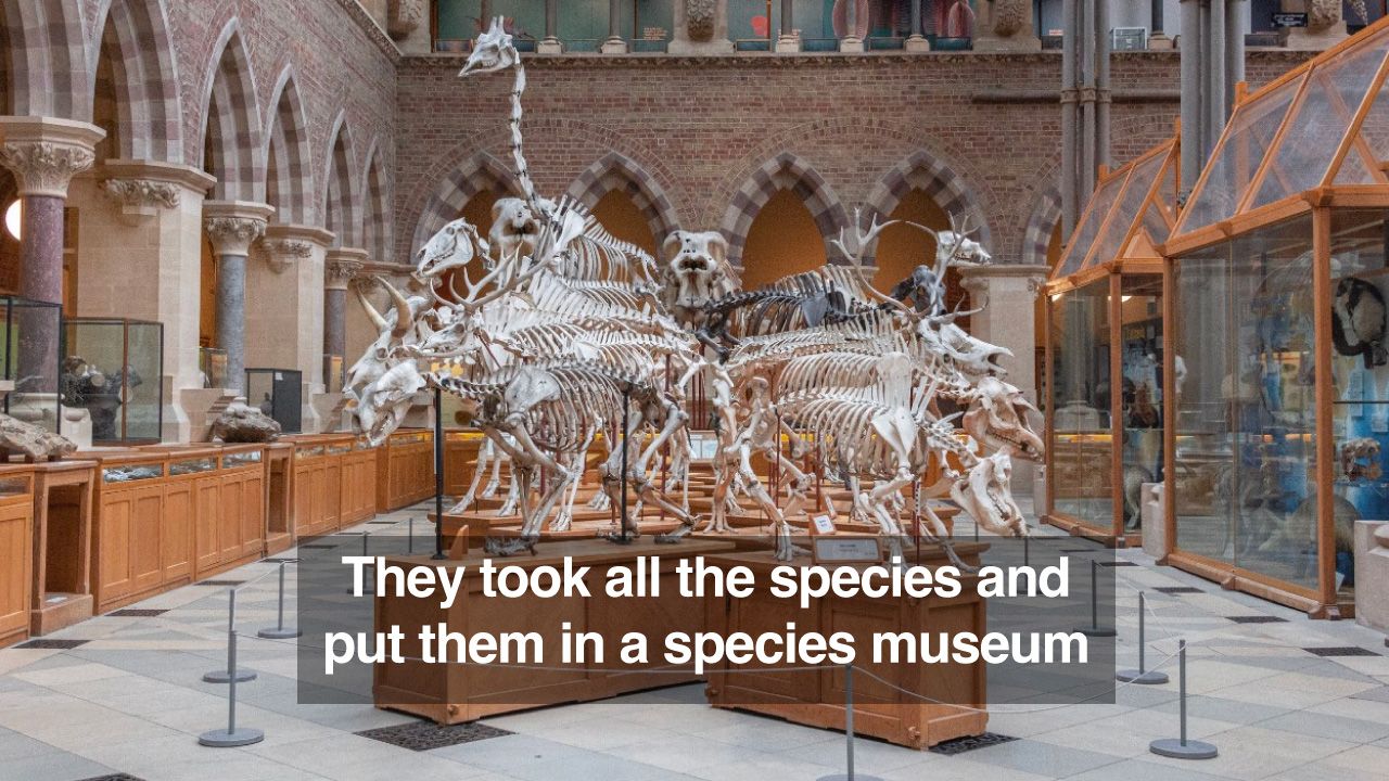 The Natural History Museum Is A Tomb