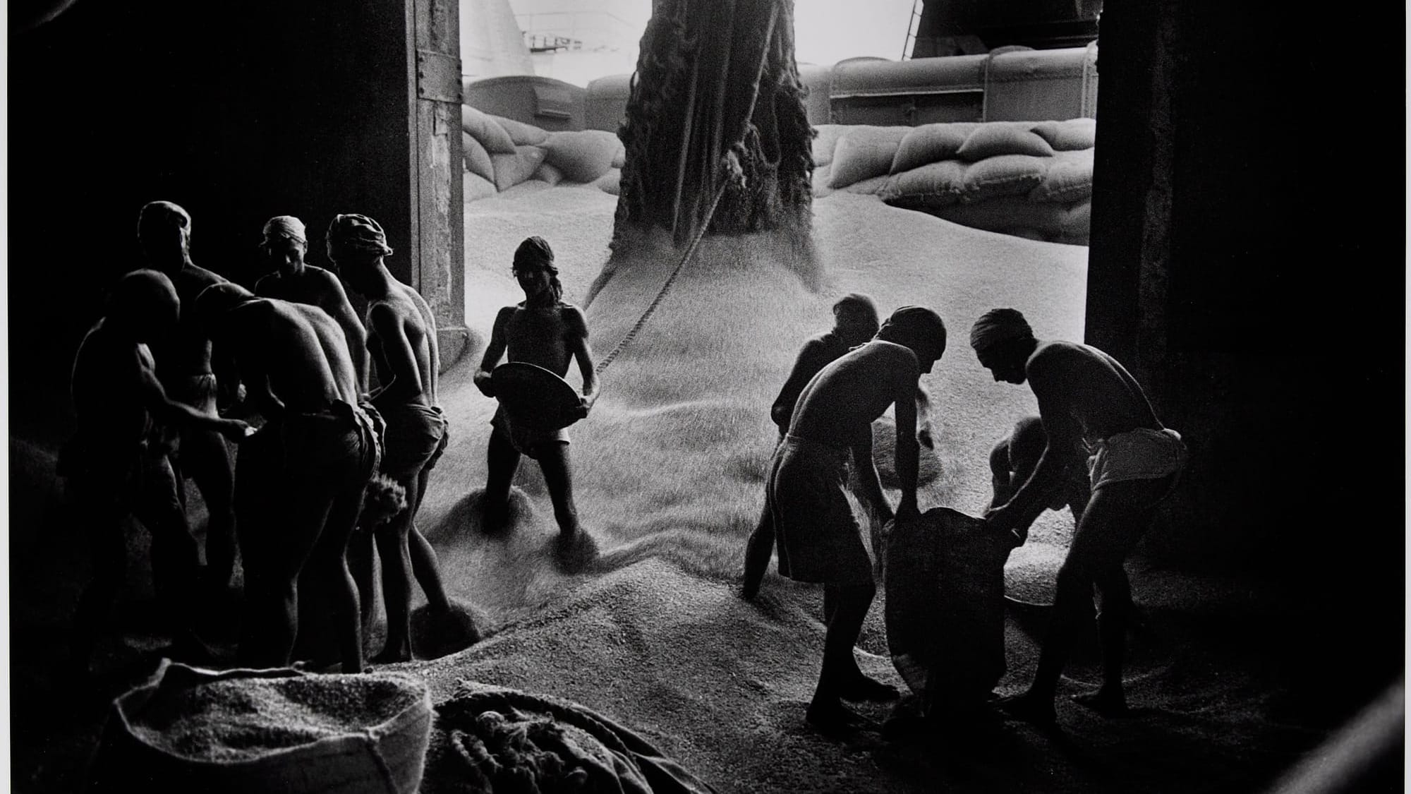 The Grain Gods (Must Be Angry)