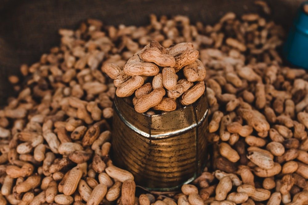 Living With A Peanut Allergy