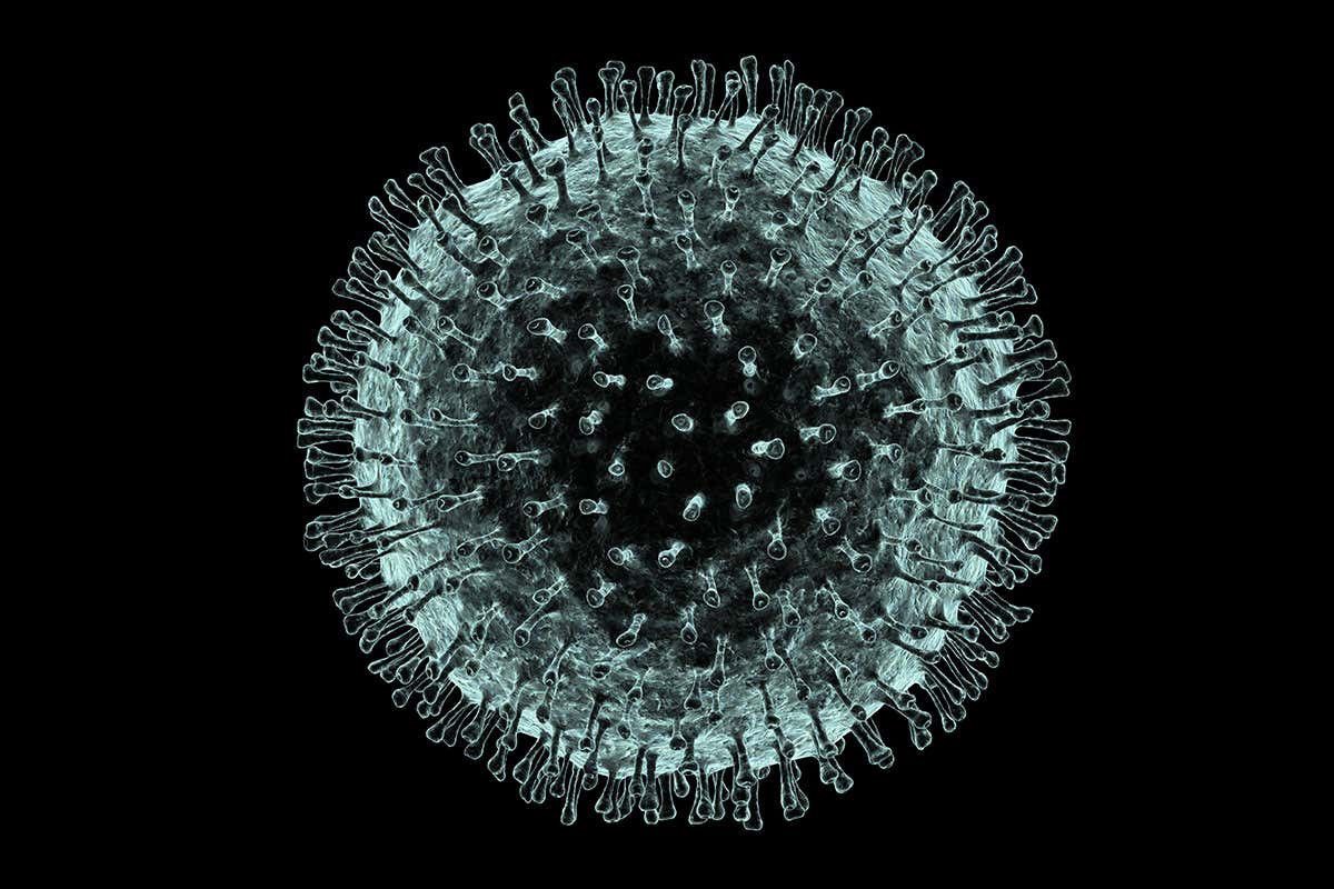 What Scientists Say About The Coronavirus