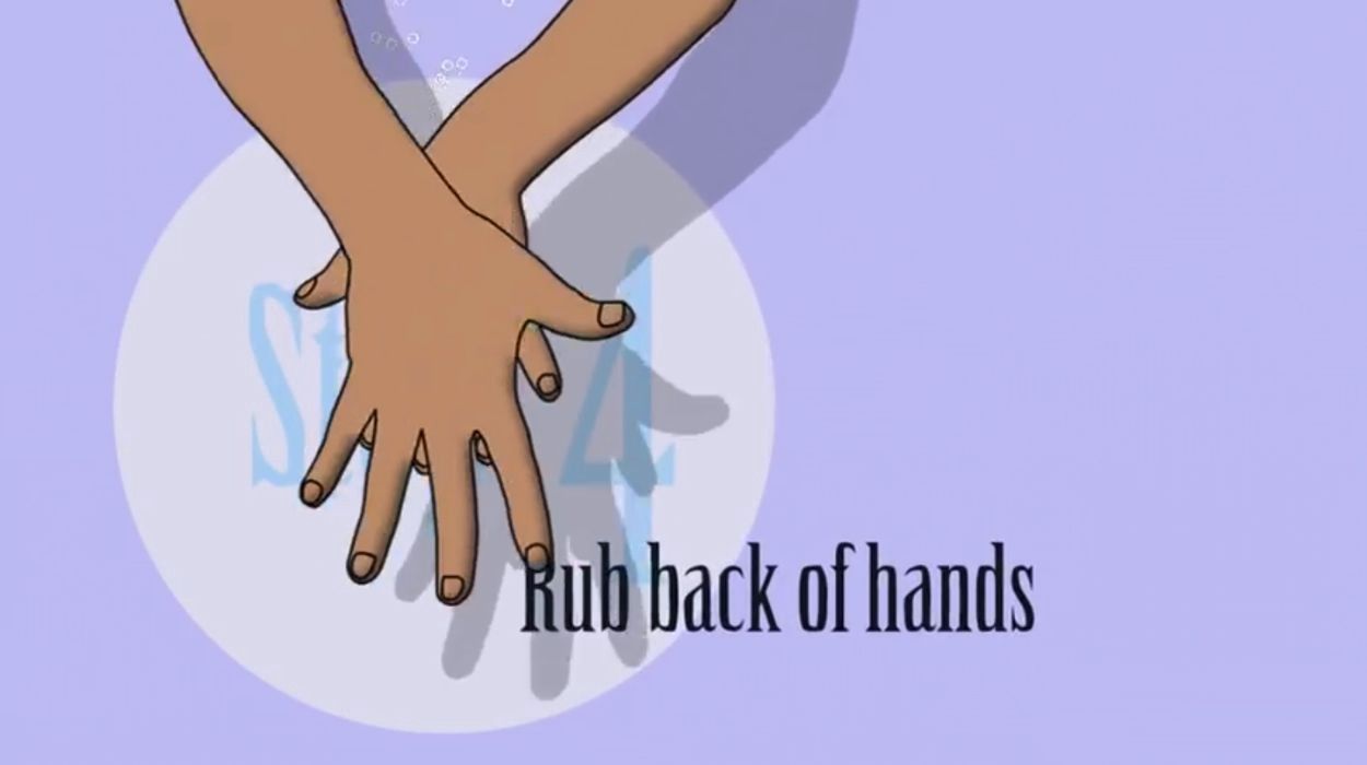 How To Wash Your Hands Properly, In One GIF