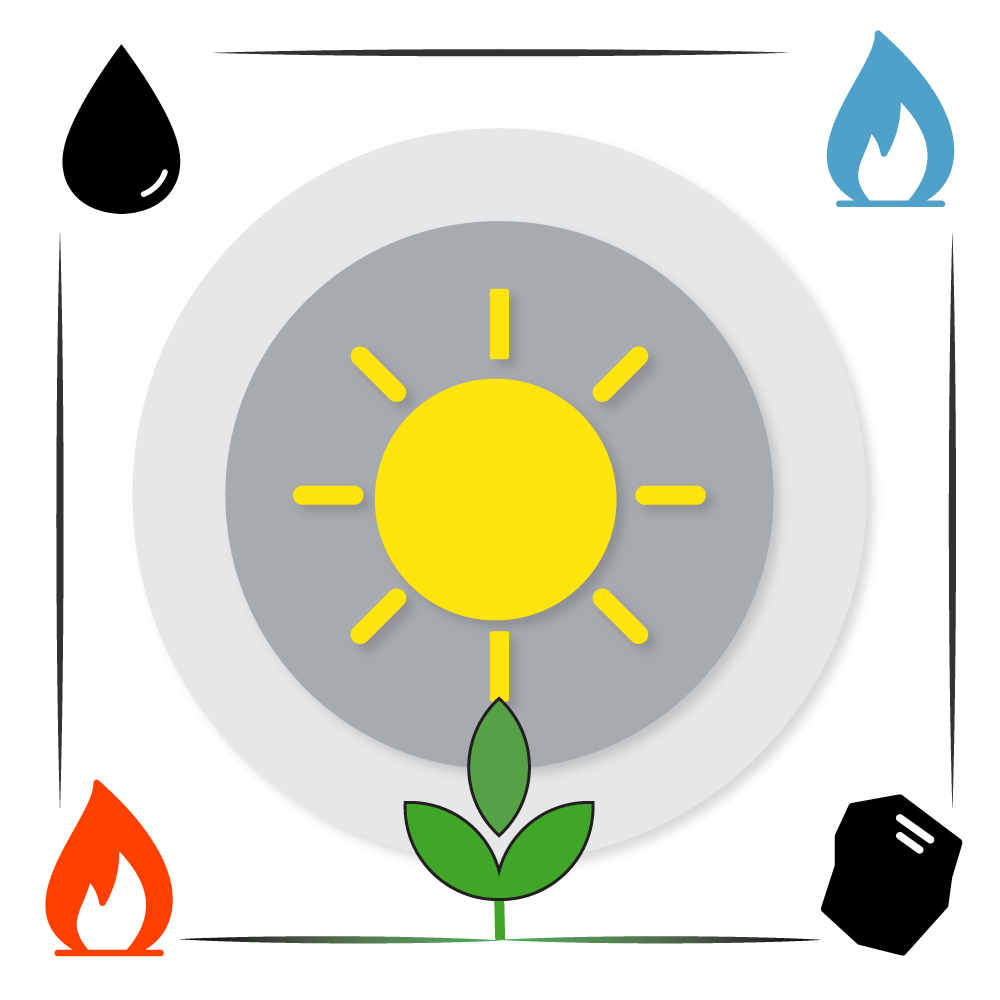 The Global Energy Supply In One Infographic