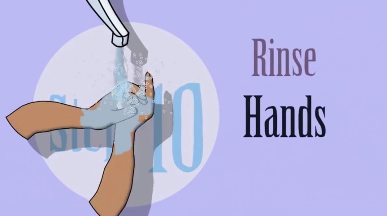 How To Wash Your Hands Properly, In One GIF